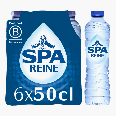 Spa plat water 24 flessen (50CL)